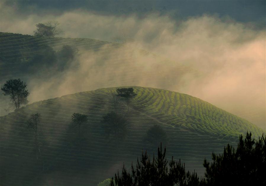 CHINA-FUJIAN-WUYI MOUNTAIN-SCENERY (CN)