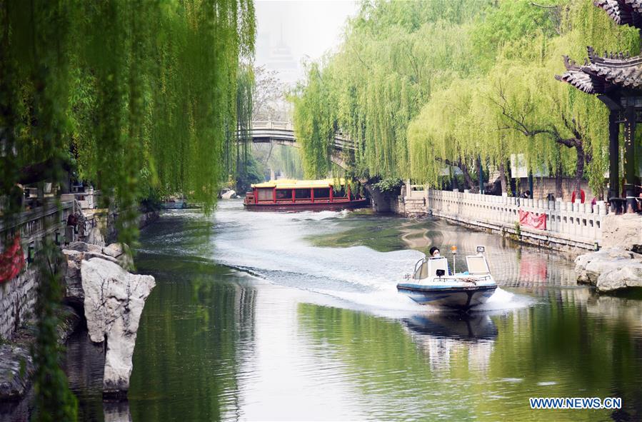 CHINA-SHANDONG-SPRING-SCENERY(CN)