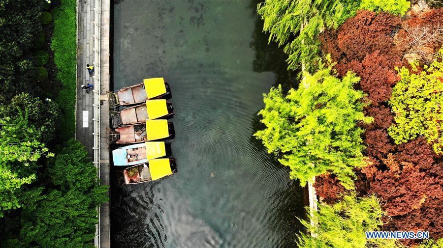 CHINA-SHANDONG-SPRING-SCENERY(CN)