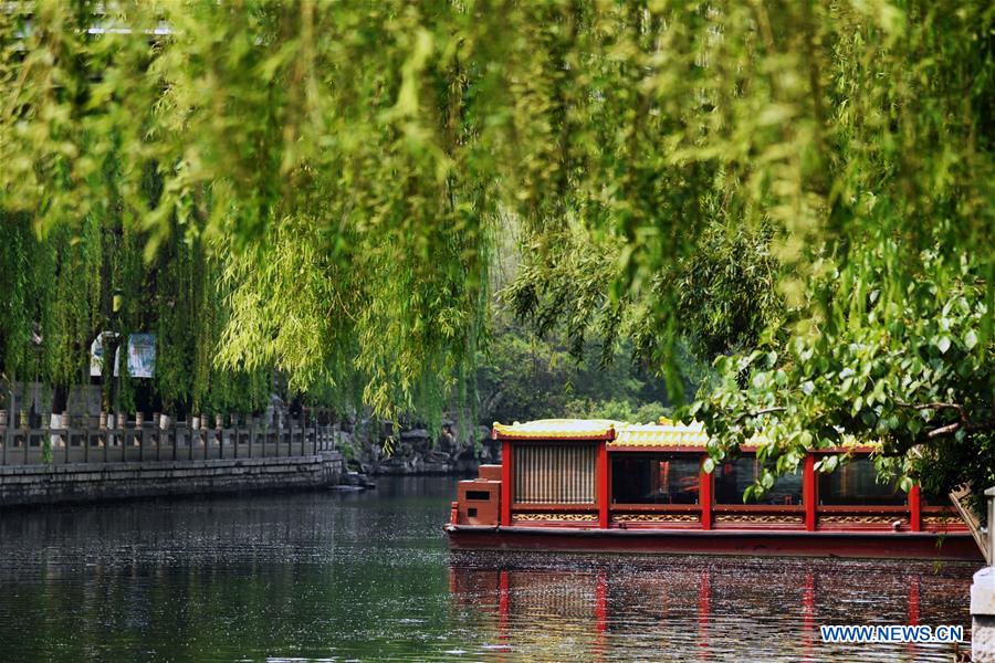 CHINA-SHANDONG-SPRING-SCENERY(CN)