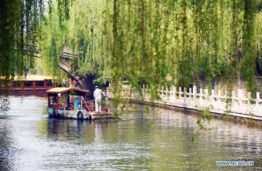 CHINA-SHANDONG-SPRING-SCENERY(CN)