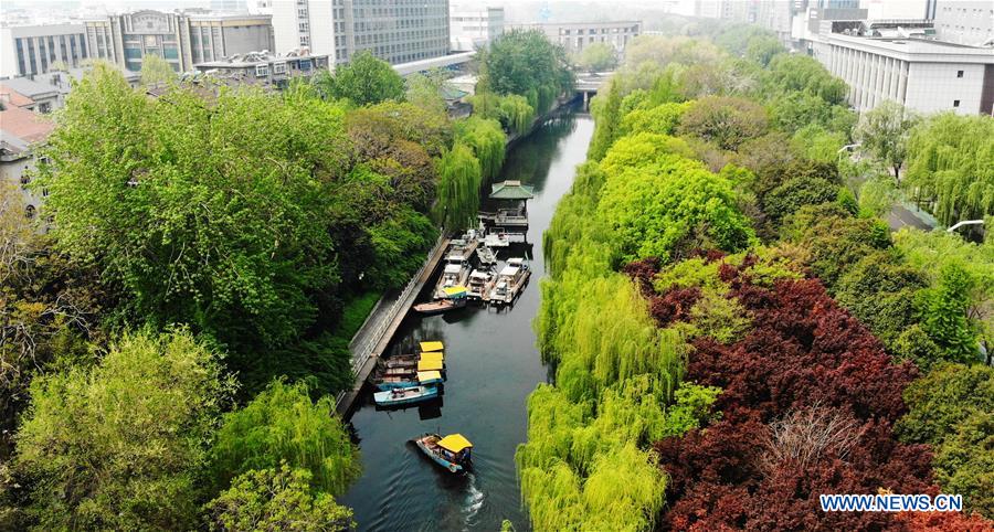 CHINA-SHANDONG-SPRING-SCENERY(CN)