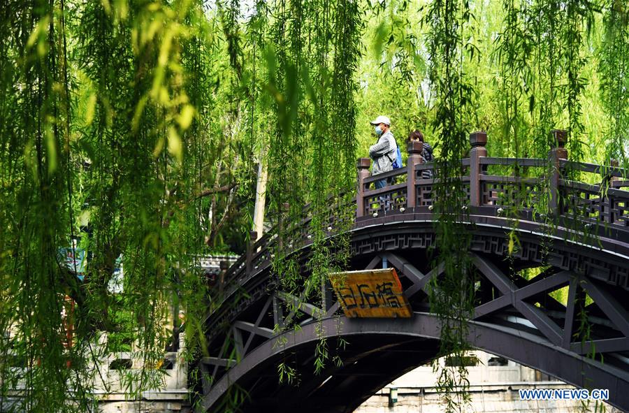 CHINA-SHANDONG-SPRING-SCENERY(CN)