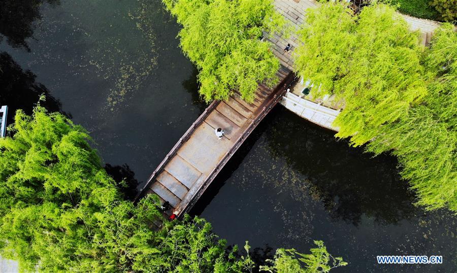 CHINA-SHANDONG-SPRING-SCENERY(CN)