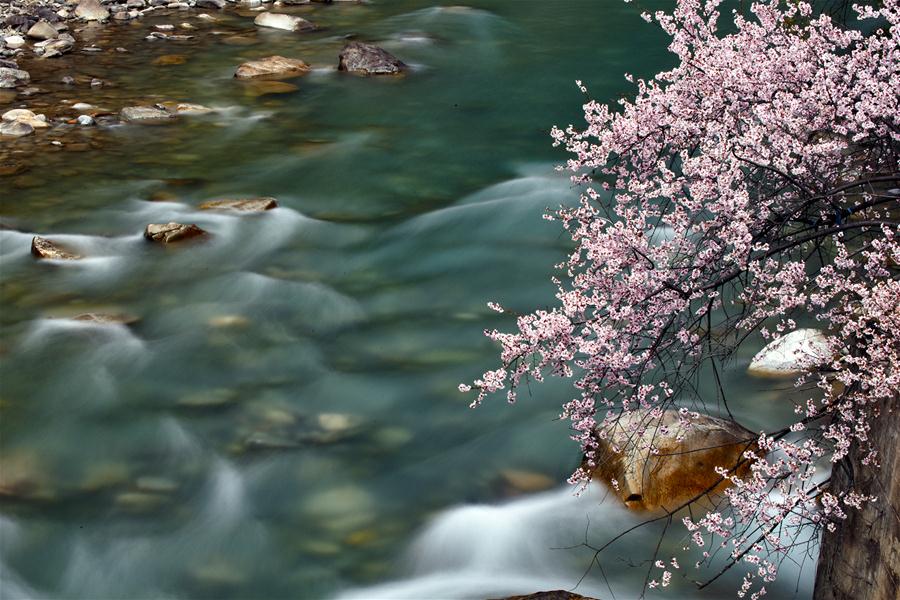 XINHUA PHOTOS OF THE DAY