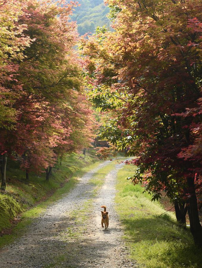 XINHUA PHOTOS OF THE DAY