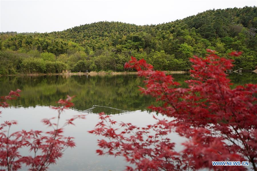 CHINA-NANJING-RURAL DEVELOPMENT (CN)