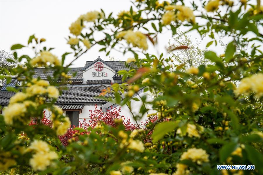 CHINA-NANJING-RURAL DEVELOPMENT (CN)