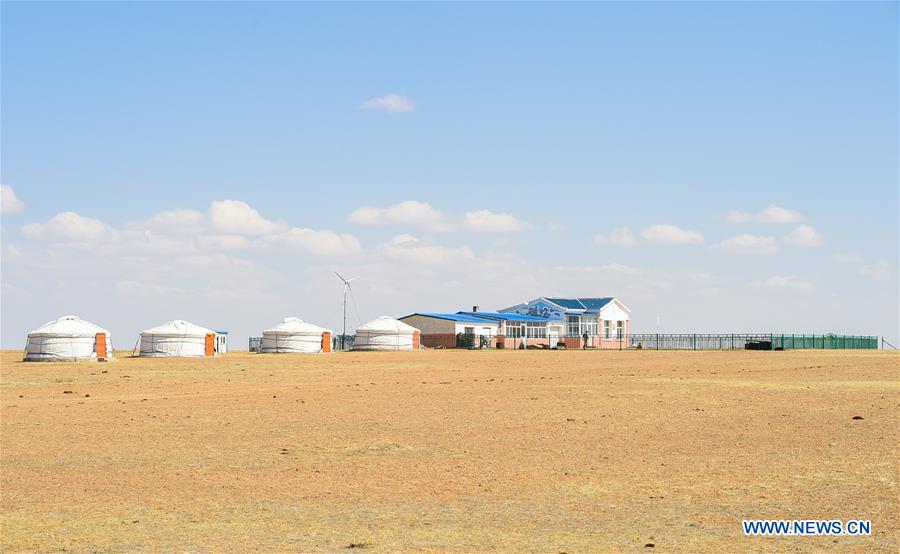 CHINA-INNER MONGOLIA-XILINGOL-GRASSLAND-RECOVERY (CN)