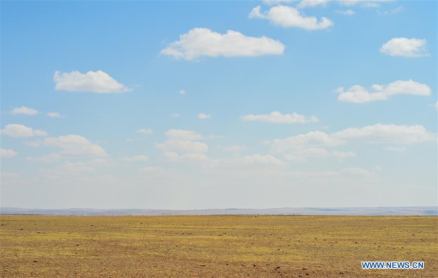CHINA-INNER MONGOLIA-XILINGOL-GRASSLAND-RECOVERY (CN)