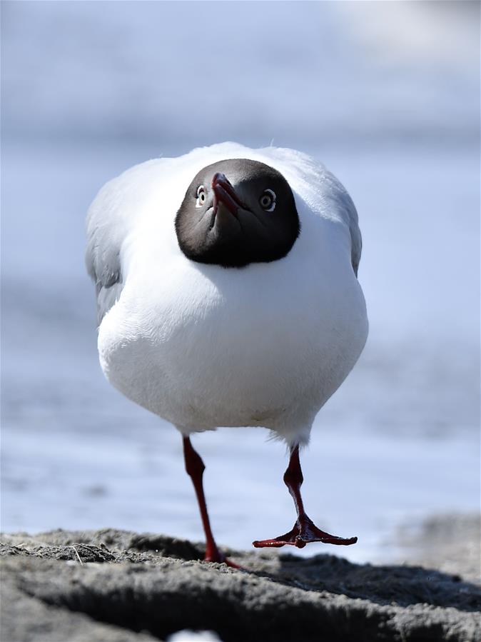 XINHUA PHOTOS OF THE DAY