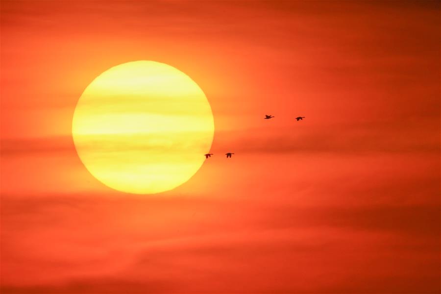 XINHUA PHOTOS OF THE DAY