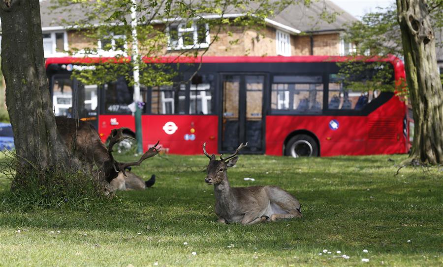 XINHUA PHOTOS OF THE DAY