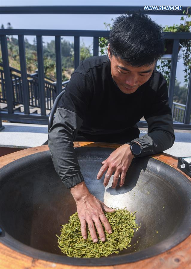 CHINA-HANGZHOU-YUNWU TEA-HARVEST (CN)