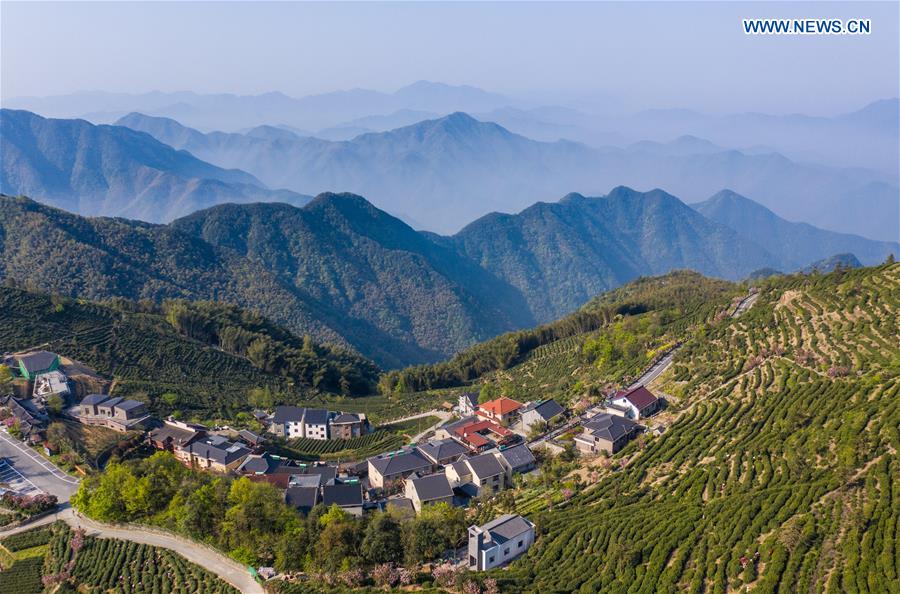 CHINA-HANGZHOU-YUNWU TEA-HARVEST (CN)