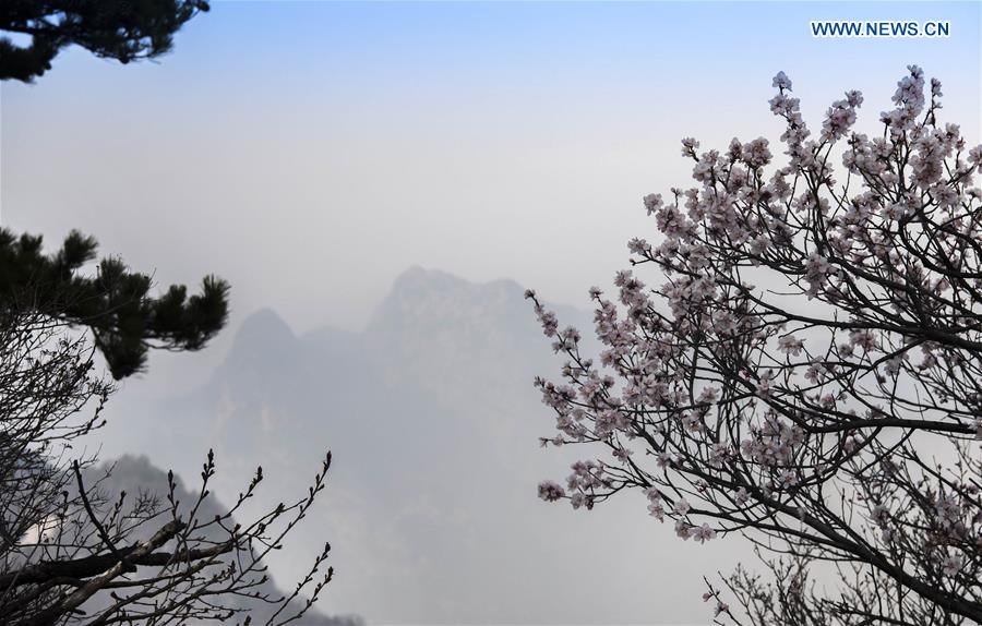 SHAANXI-HUAYIN-MOUNT HUASHAN (CN)