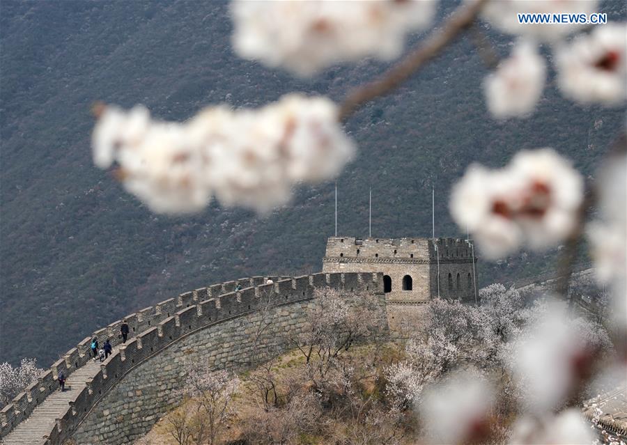 CHINA-BEIJING-GREAT WALL-SCENERY (CN)
