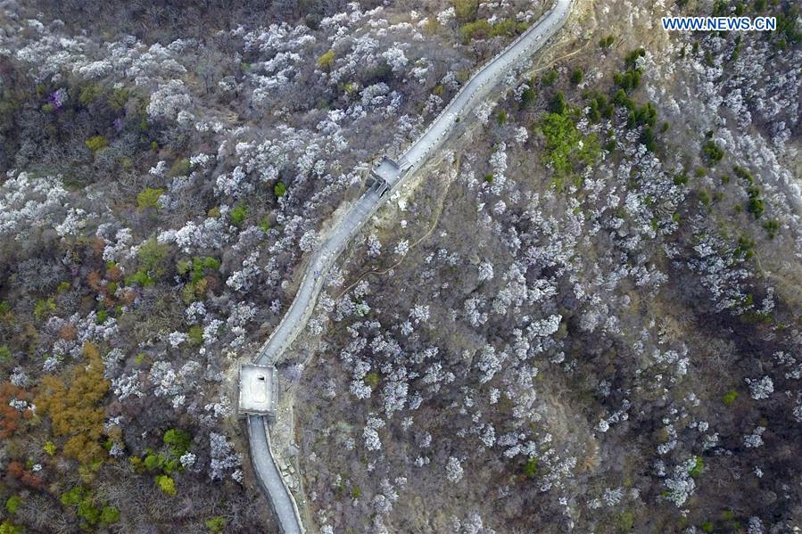 CHINA-BEIJING-GREAT WALL-SCENERY (CN)