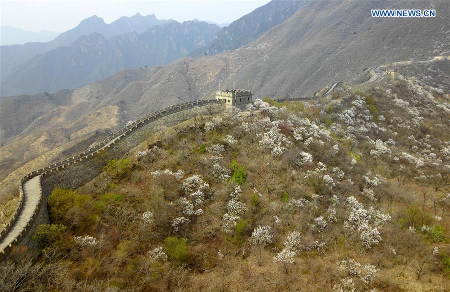 CHINA-BEIJING-GREAT WALL-SCENERY (CN)