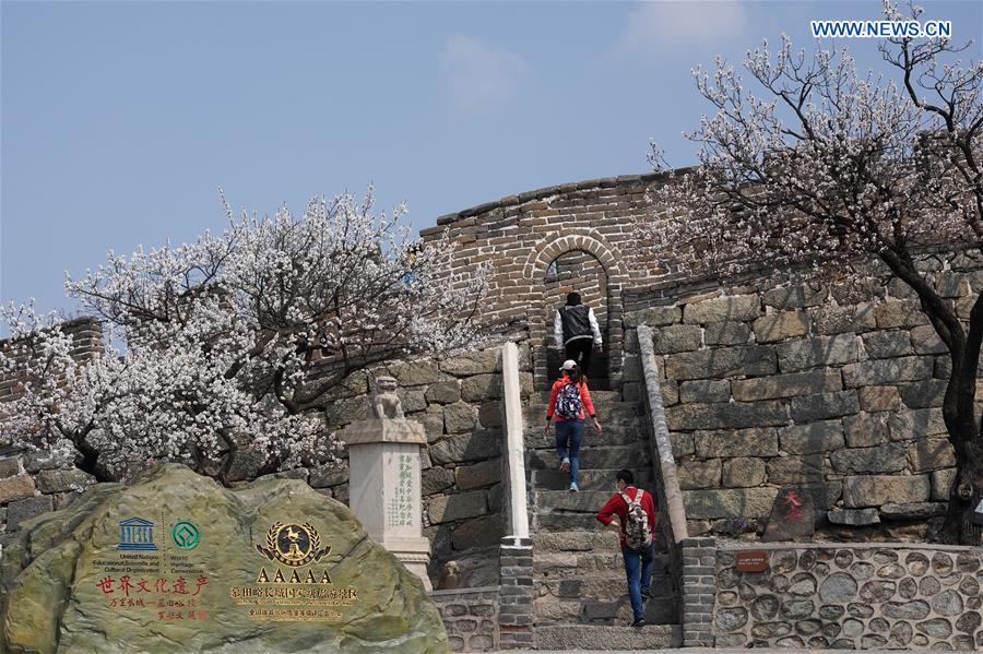 CHINA-BEIJING-GREAT WALL-SCENERY (CN)