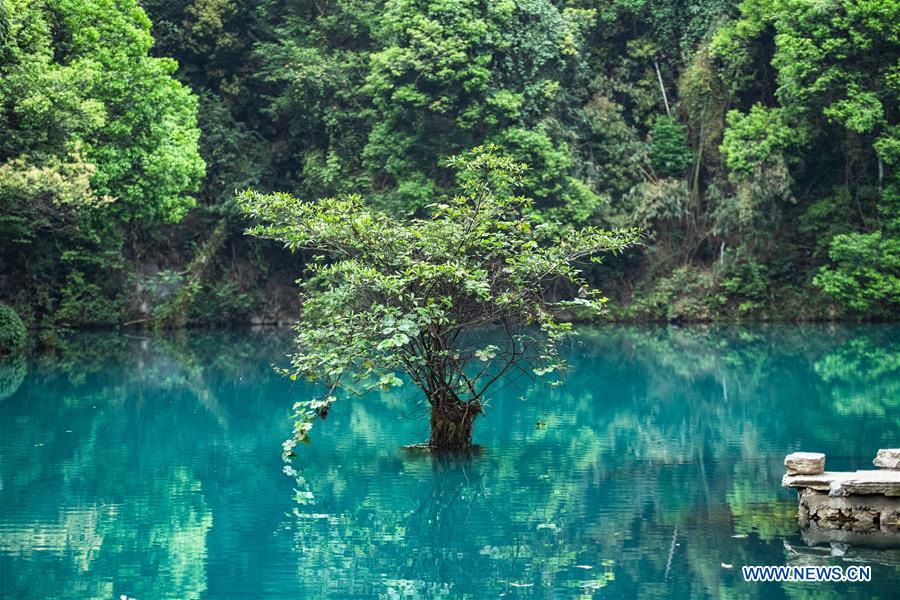 CHINA-GUIZHOU-LIBO-SPRING SCENERY (CN)