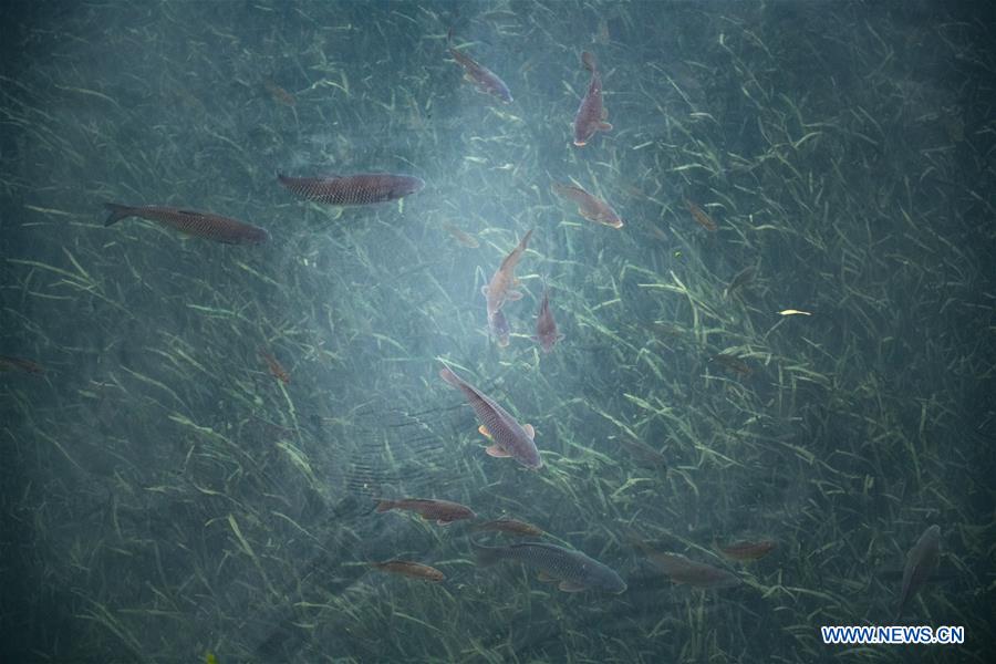 CHINA-GUIZHOU-LIBO-SPRING SCENERY (CN)