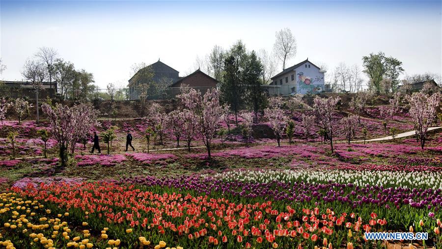CHINA-SHAANXI-FLORA PARK (CN)