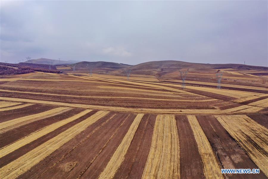 CHINA-HEBEI-FIELD SCENERY (CN)