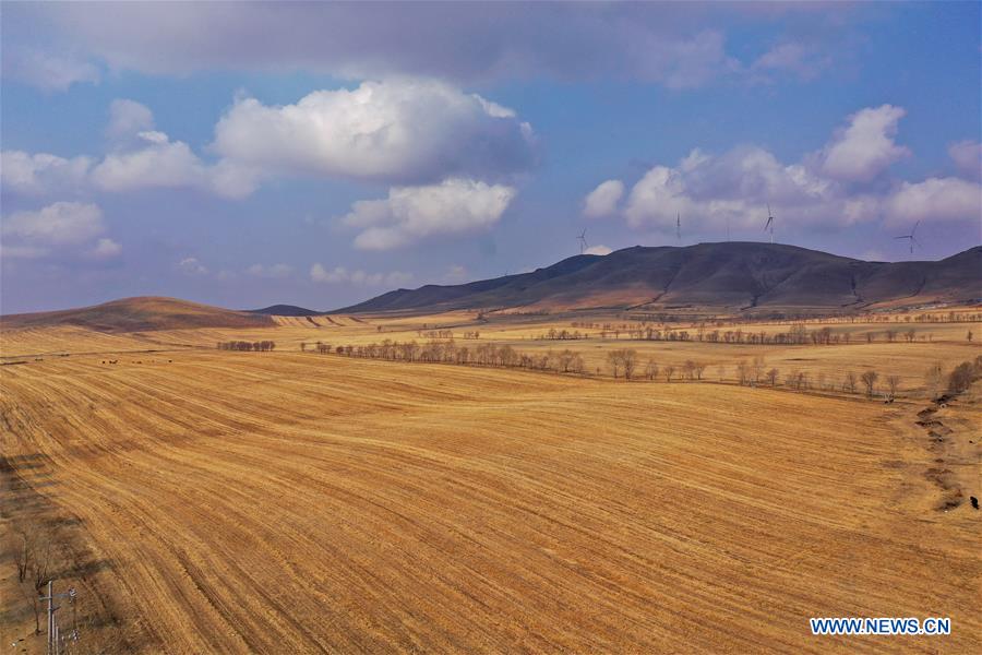 CHINA-HEBEI-FIELD SCENERY (CN)