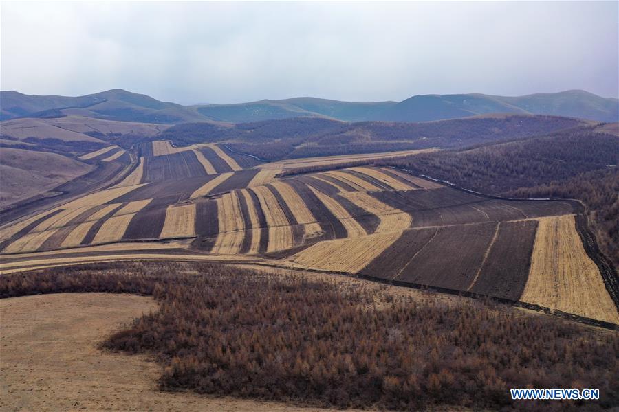 CHINA-HEBEI-FIELD SCENERY (CN)