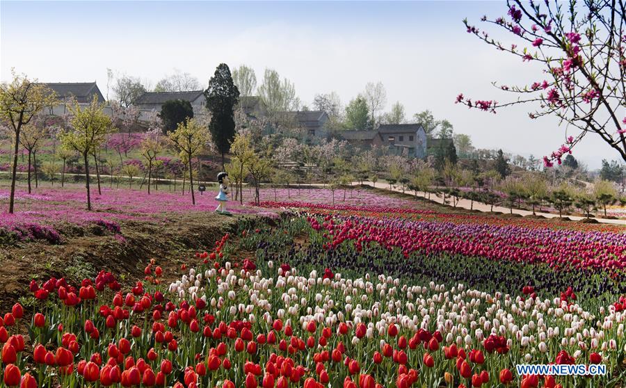CHINA-SHAANXI-FLORA PARK (CN)