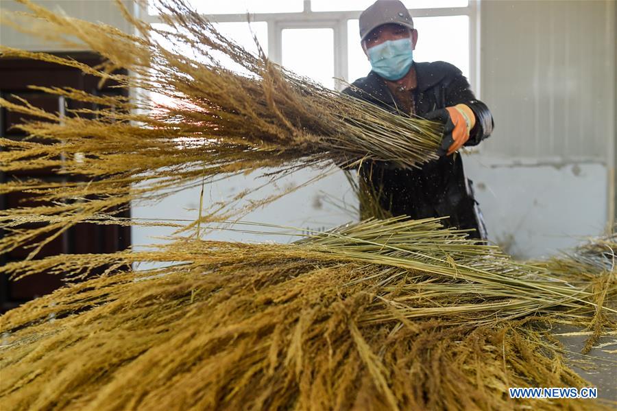 CHINA-INNER MONGOLIA-POVERTY ALLEVIATION WORKSHOP (CN)