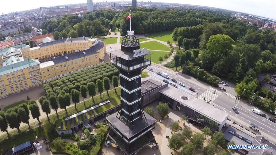 DENMARK-COPENHAGEN-ZOO-PANDA