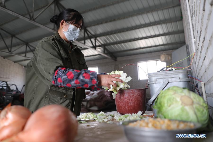 CHINA-GANSU-AKSAY-WILD ANIMAL-RESCUE STATION (CN)