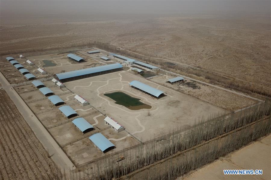 CHINA-GANSU-AKSAY-WILD ANIMAL-RESCUE STATION (CN)