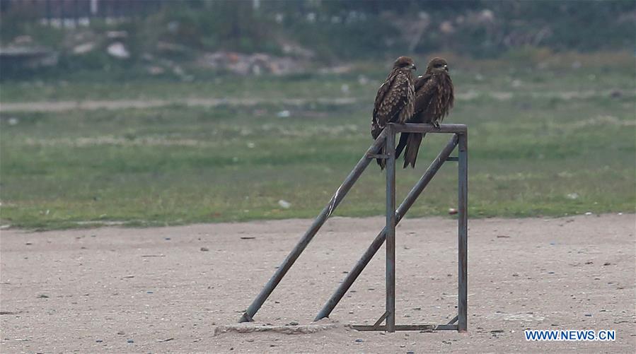 NEPAL-KATHMANDU-LOCKDOWN-EAGLES