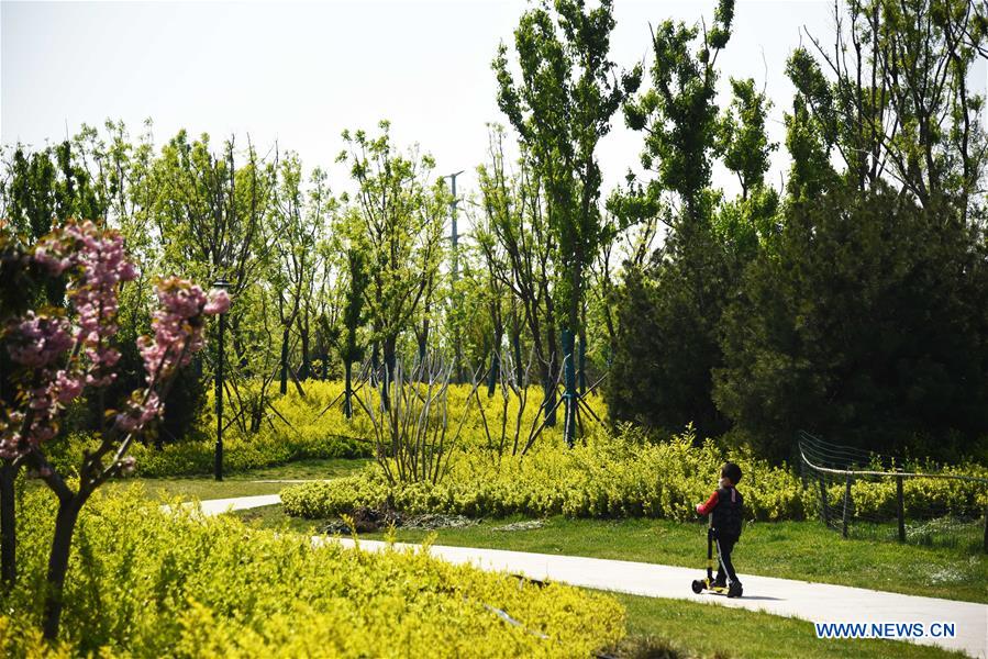 CHINA-SHANDONG-JINAN-WETLAND PARK (CN)