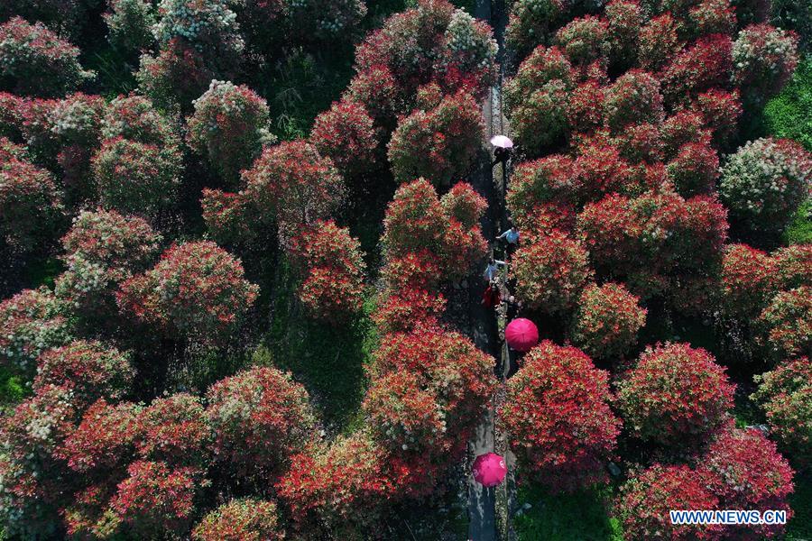 #CHINA-SPRING-AERIAL VIEW (CN)