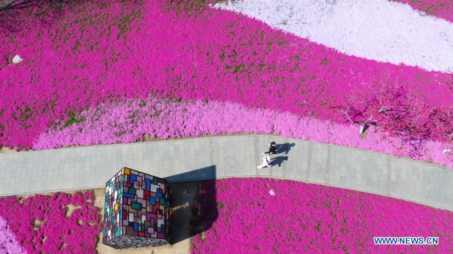 #CHINA-SPRING-AERIAL VIEW (CN)