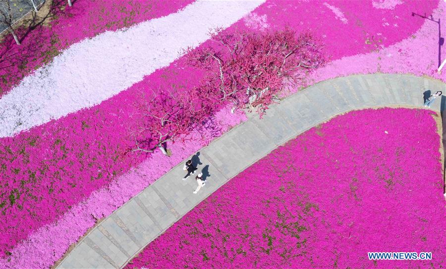 #CHINA-SPRING-AERIAL VIEW (CN)
