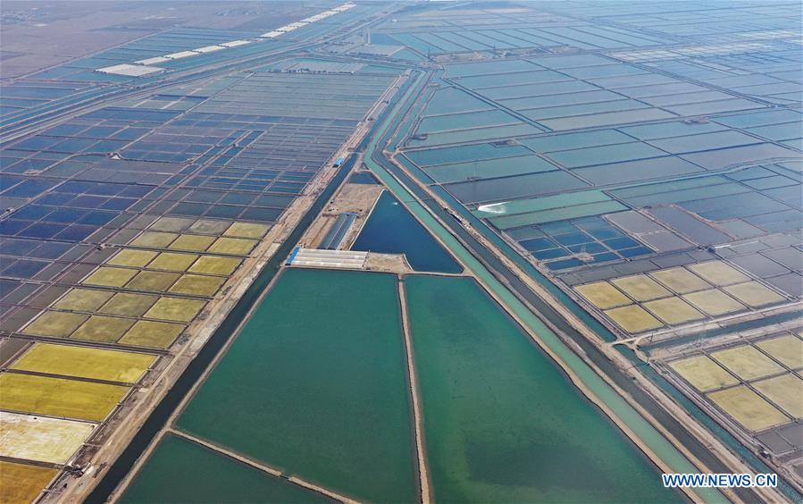 CHINA-HEBEI-TANGSHAN-SALT-HARVEST (CN)