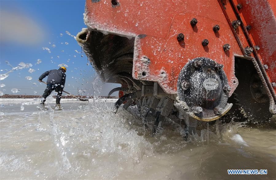 CHINA-HEBEI-TANGSHAN-SALT-HARVEST (CN)