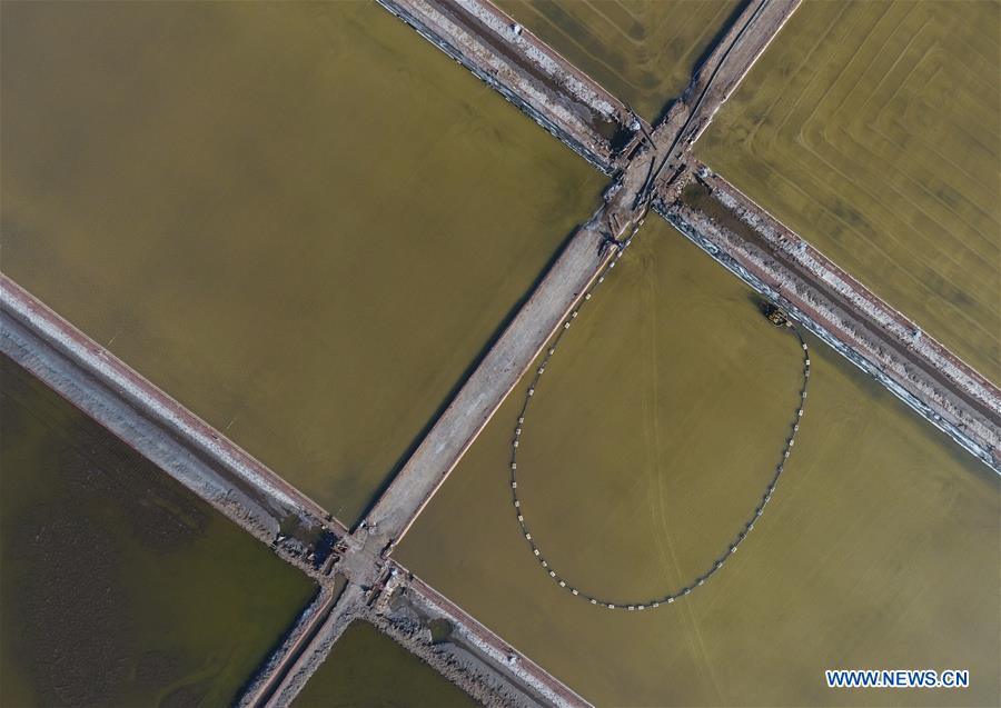 CHINA-HEBEI-TANGSHAN-SALT-HARVEST (CN)