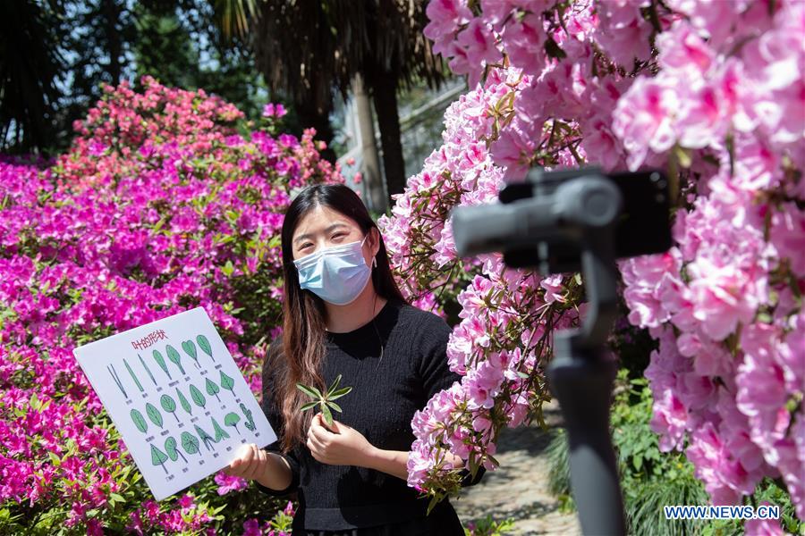 #CHINA-HUBEI-WUHAN-CLOUD TOUR (CN)