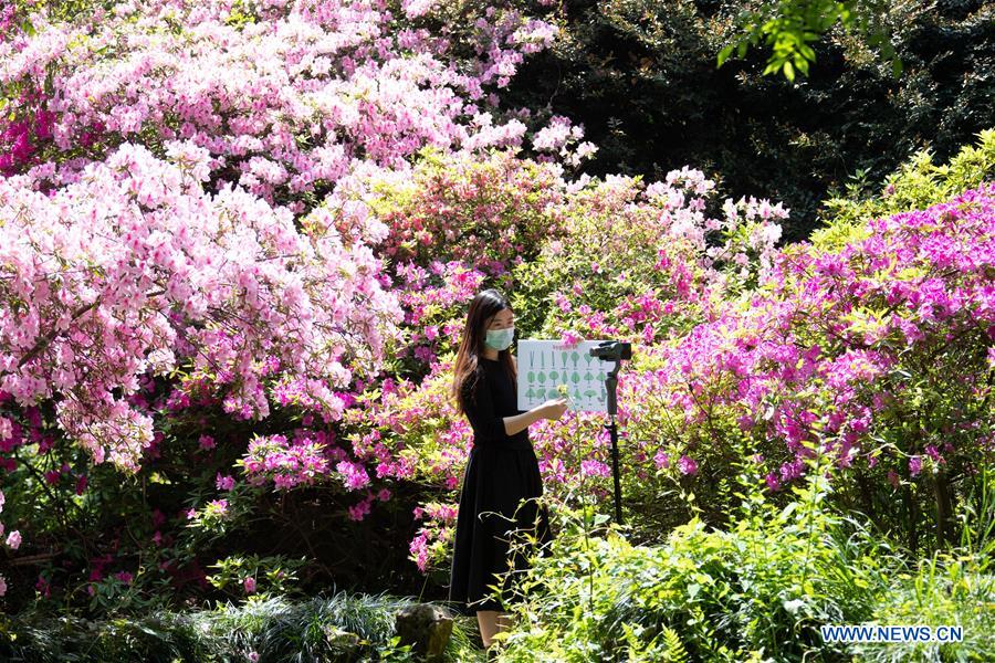 #CHINA-HUBEI-WUHAN-CLOUD TOUR (CN)