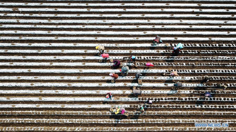 CHINA-HEILONGJIANG-FARMING (CN)