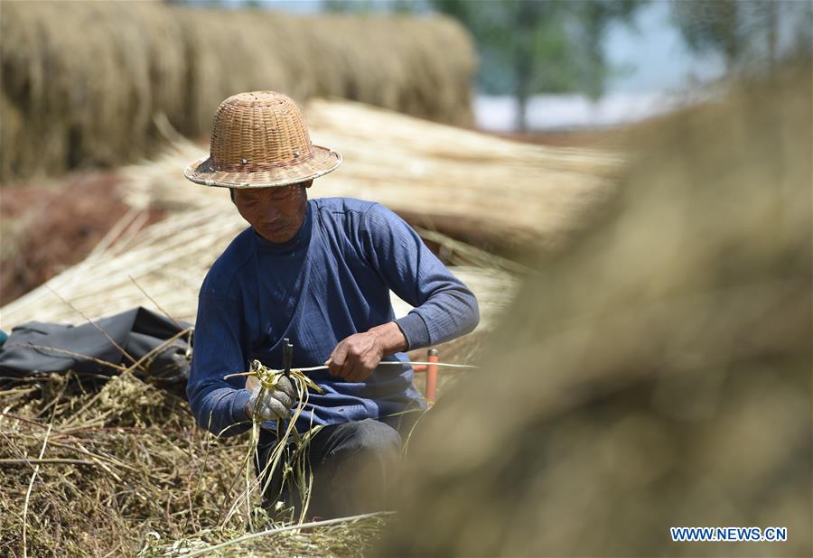 CHINA-ANHUI-FUNAN-WICKERWORK-INDUSTRY (CN)