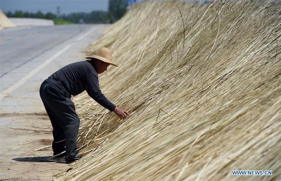 CHINA-ANHUI-FUNAN-WICKERWORK-INDUSTRY (CN)