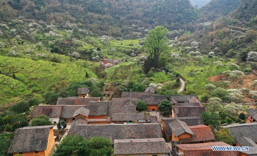 CHINA-GUANGXI-RONGAN-POVERTY RELIEF PIONEER (CN)