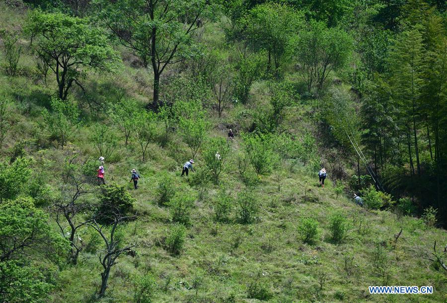 CHINA-GUANGXI-RONGAN-POVERTY RELIEF PIONEER (CN)